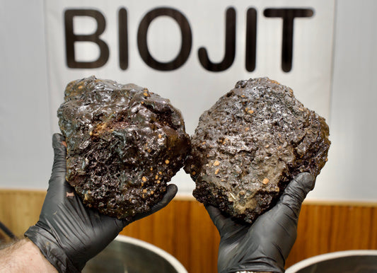 The science behind Shilajit